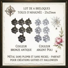 Lot de 6 breloques toiles d'araignée 25mm