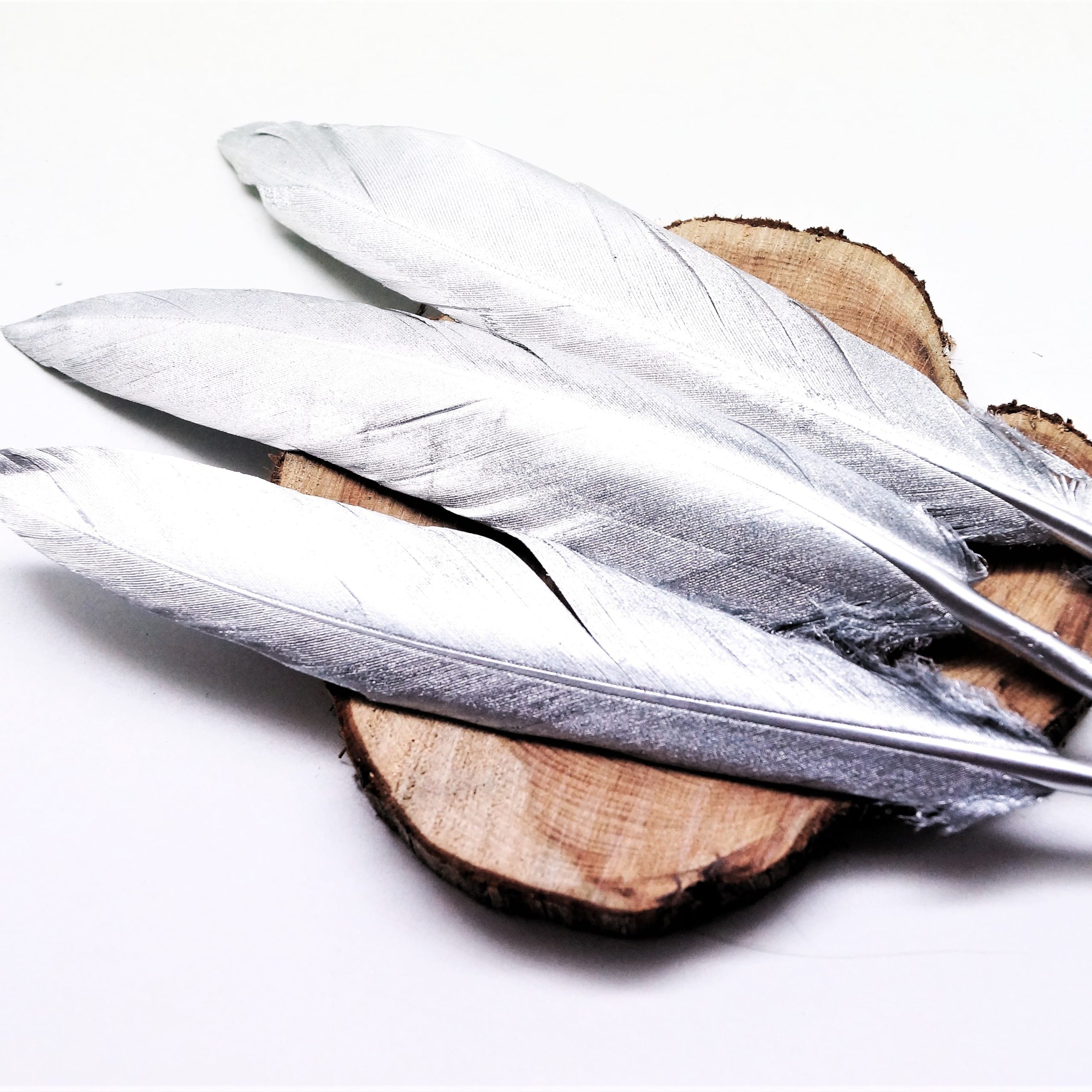 Plumes naturelles de canard argentées ou dorées 10 à 15 cm par lot de 10 – Image 4
