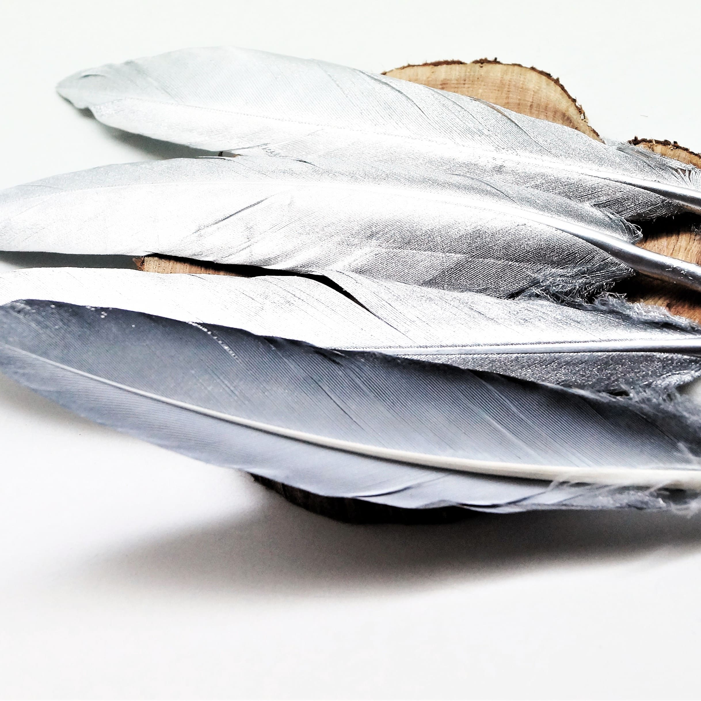 Plumes naturelles de canard argentées ou dorées 10 à 15 cm par lot de 10 – Image 6