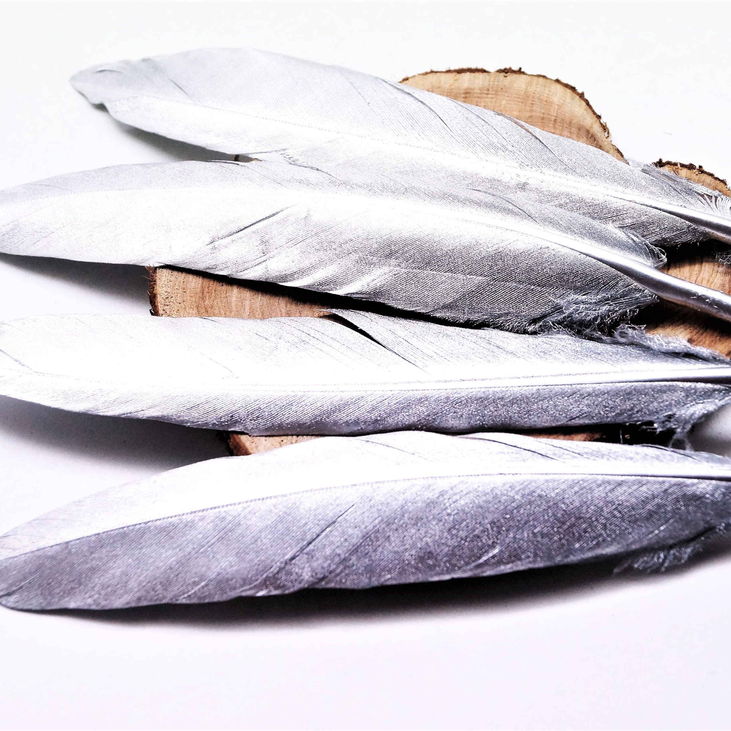 Plumes naturelles de canard argentées ou dorées 10 à 15 cm par lot de 10 – Image 8