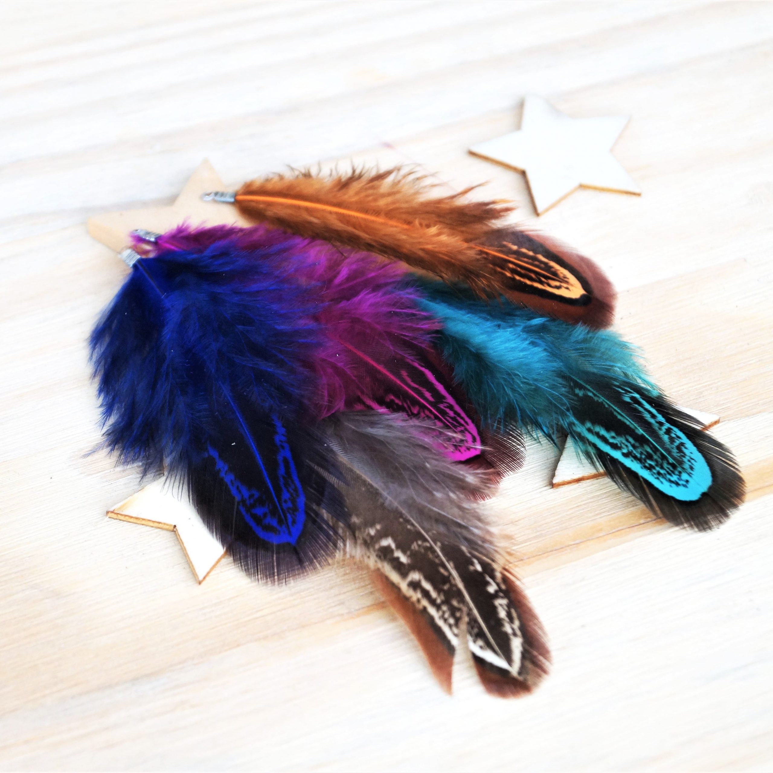 Pendentifs plumes de faisan 60mm avec embouts argentés par 2 – Image 9