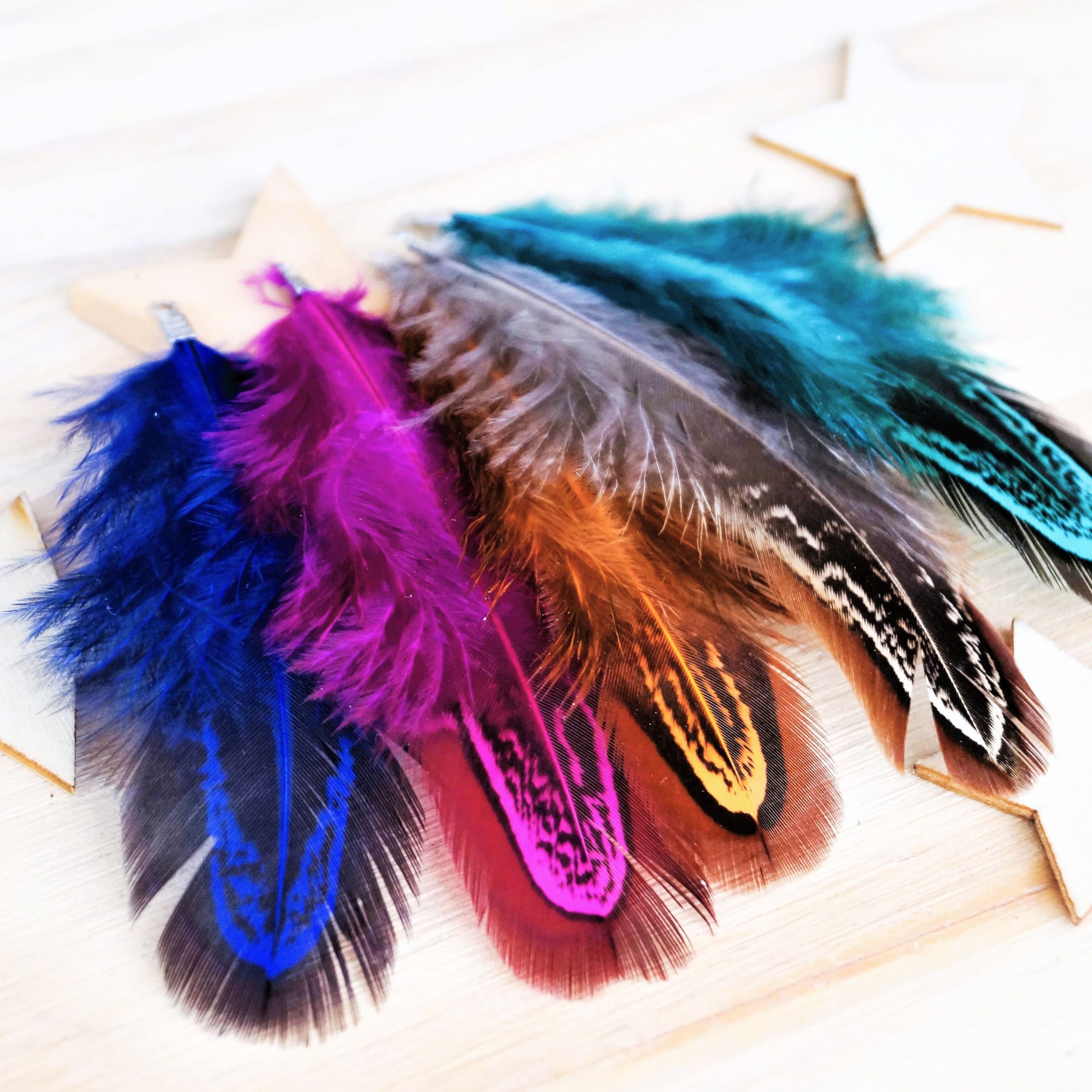 Pendentifs plumes de faisan 60mm avec embouts argentés par 2 – Image 5