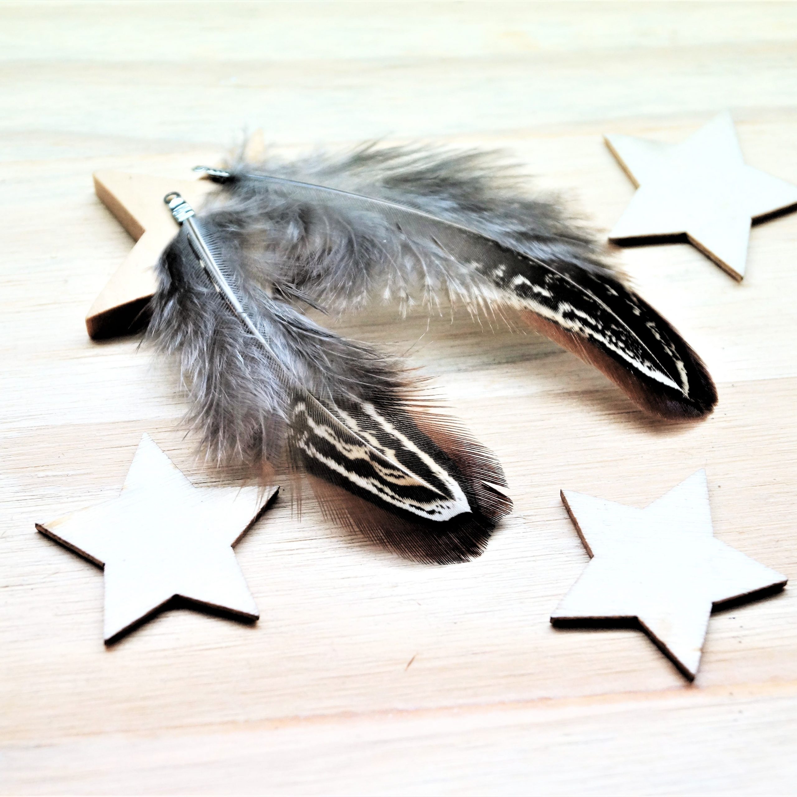 Pendentifs plumes de faisan 60mm avec embouts argentés par 2 – Image 6