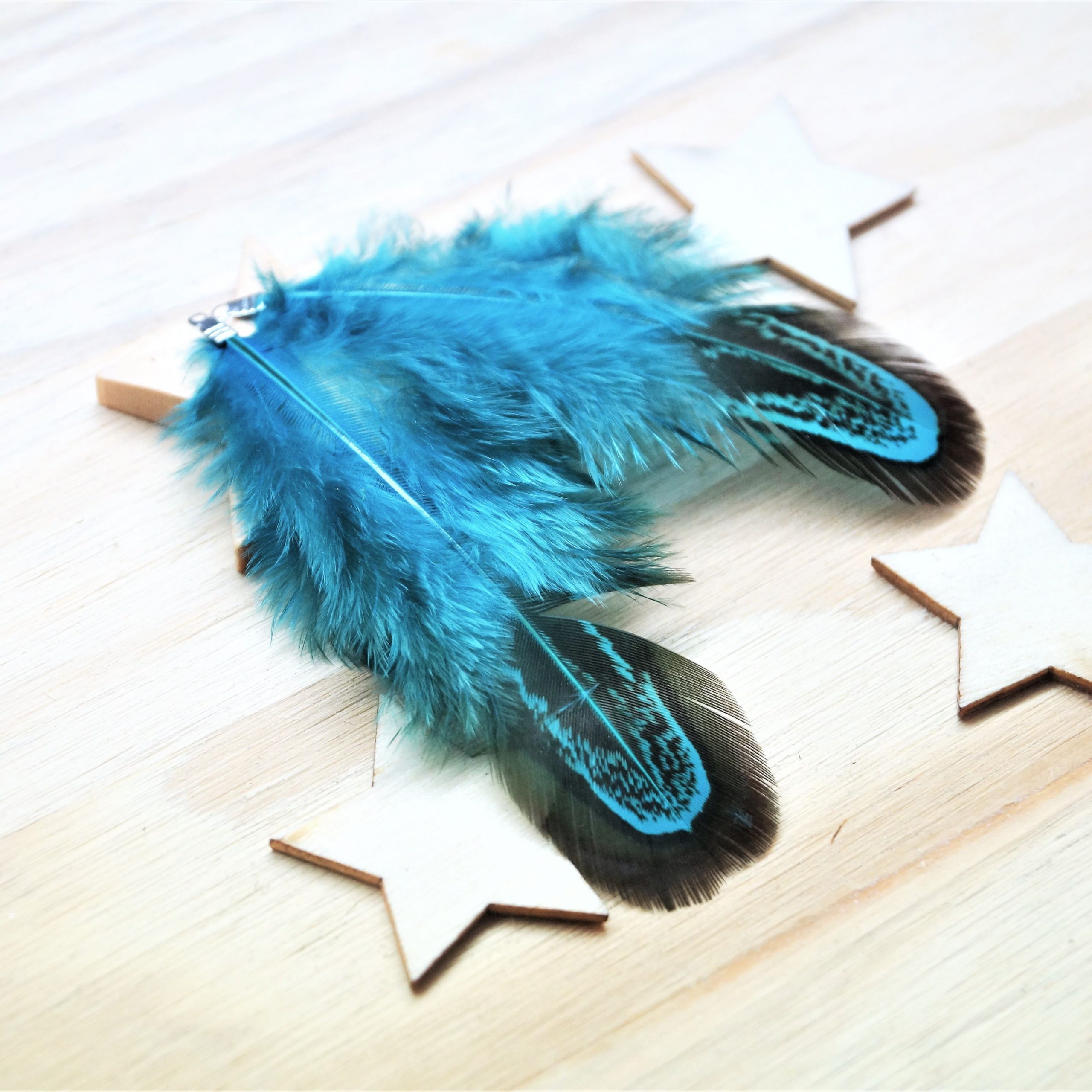 Pendentifs plumes de faisan 60mm avec embouts argentés par 2 – Image 7