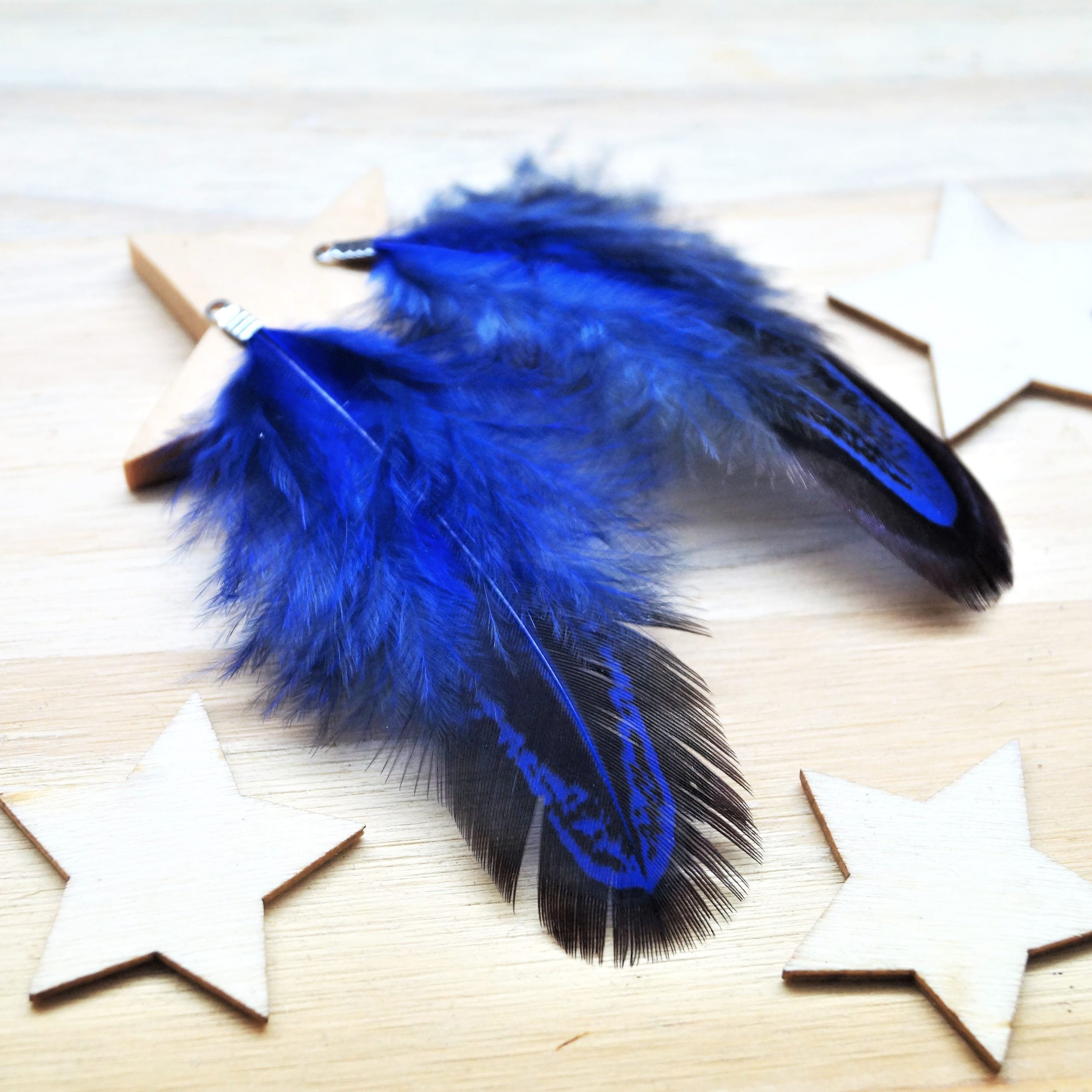 Pendentifs plumes de faisan 60mm avec embouts argentés par 2 – Image 8