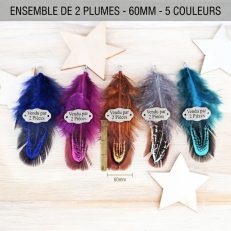 Pendentifs plumes de faisan 60mm avec embouts argentés par 2