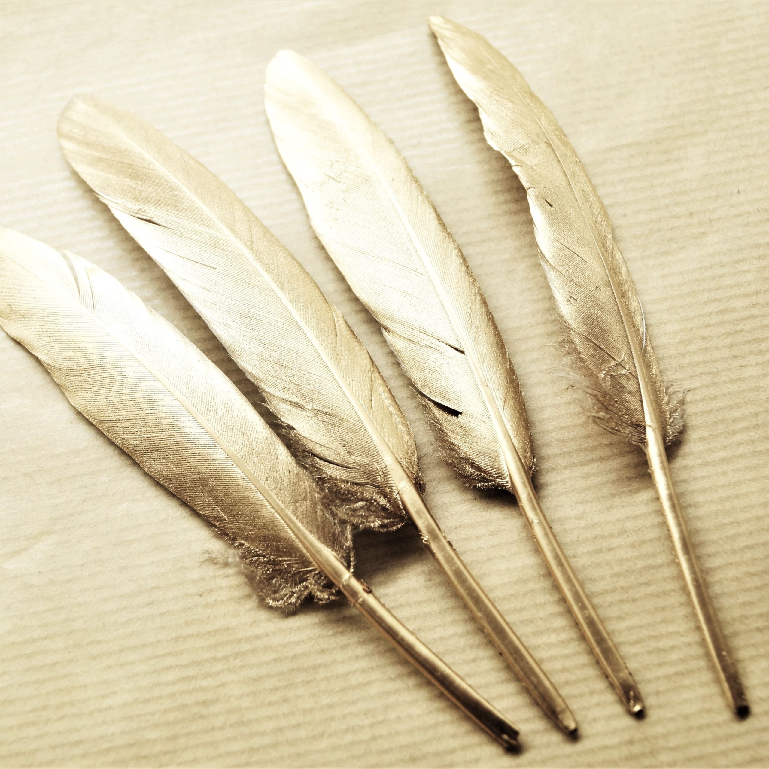 Plumes naturelles de canard argentées ou dorées 10 à 15 cm par lot de 10 – Image 3